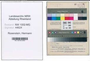 Entnazifizierung Hermann Rosenstein , geb. 28.02.1914 (Koch)