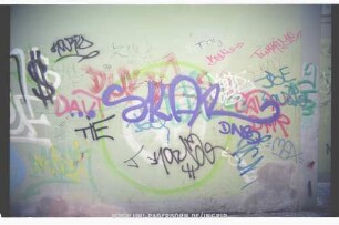 SKAR DNB