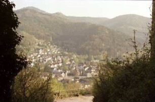 Waldkirch: Blick auf Waldkirch mit Kandel