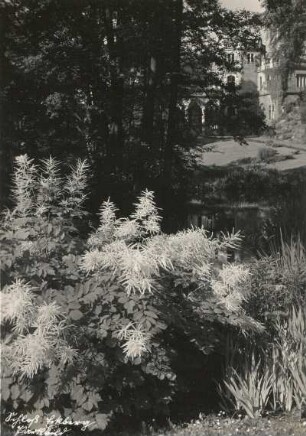 Dresden-Loschwitz. Schloss Eckberg