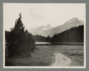 Am Stazer See