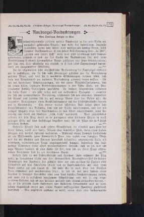 Raubvogel-Beobachtungen.