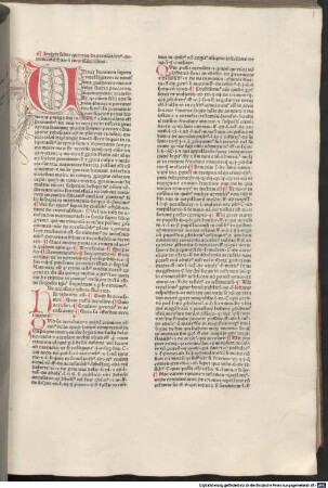 Summa super titulis Decretalium : Liber 1-5. Mit Gedicht 'Cedite summarum scriptores ...', 5