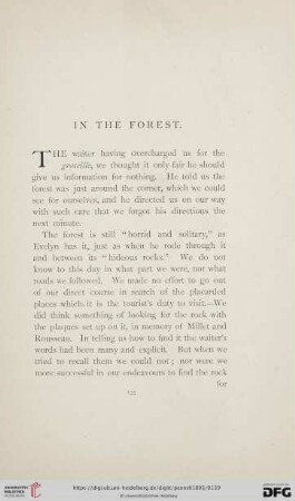 In the Forest