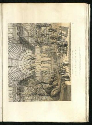 View of Colossi in north transept