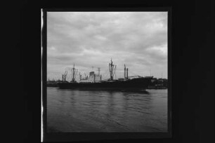 Bieberstein (1953), Frachtschiff, Norddeutscher Lloyd, Bremen, Bau-Nr. 824
