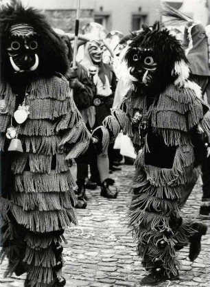 Faschingszeit in Lindau