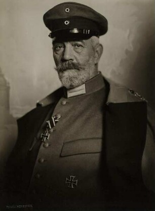 Der Staatsmann Theobald von Bethmann-Hollweg