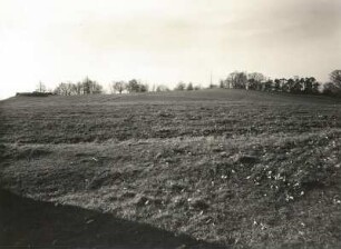 Am Rande des Hellers bei Hellerau