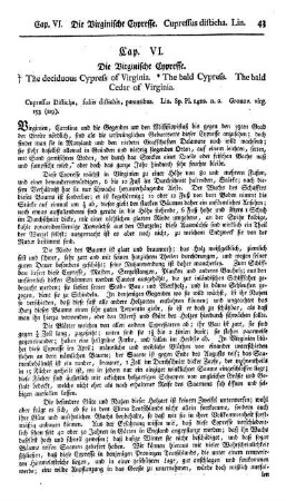 Cap. VI. Die virginische Cypresse. Cupressus disticha. Lin.