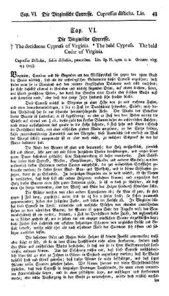 Cap. VI. Die virginische Cypresse. Cupressus disticha. Lin.