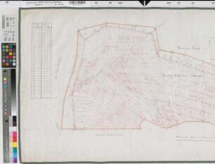 Mesum (Rheine), Rheine l.d.Ems (Rheine), Teilung des Weißen Venns, Reinkarte (Moorparzellen)