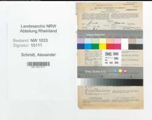 Entnazifizierung Alexander Schmitt , geb. 03.05.1892 (Polizeibeamter)