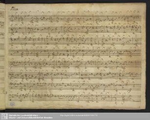 [Suites; lute; C]
