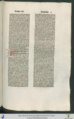 Titulus octavus
