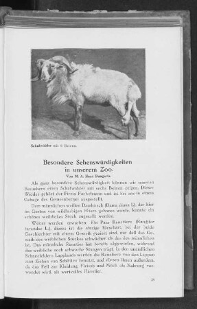 Besondere Sehenswürdigkeiten in unserem Zoo.