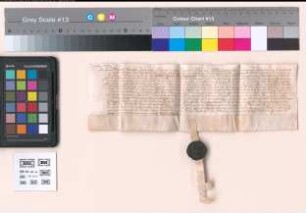 Eidesleistungen mehrerer Personen als Märkischen Frohnen zu Soest und desfallsige Sicherheitsleistungen vom Jahr 1522 März 11.