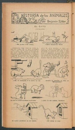 El gato - (Continuación) : Historia de los animales