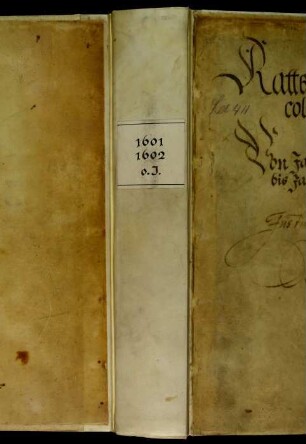 Ratsprotokolle, 1601 Juli 28. - 1602 Aug. 1.