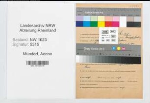 Entnazifizierung Aenne Mundorf , geb. 01.01.1890 ()