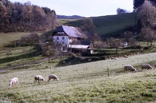 Hof am Waldrand von Unterneuhäuser bei Kirchzarten