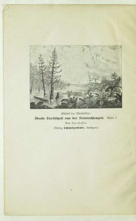 Abdruck des Wandbildes: Ideale Landschaft aus der Steinkohlenzeit. Tafel I