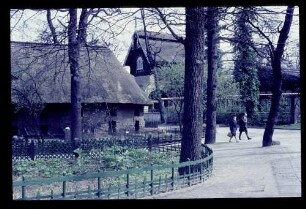 Zoo 23.4.66.