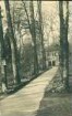 Alter Friedhof