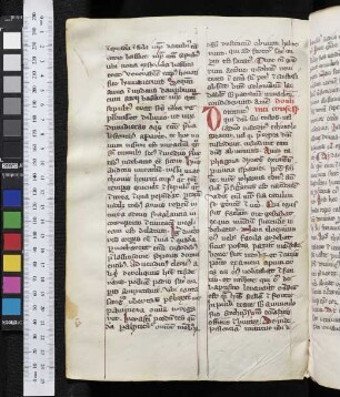 Dominicus fundator Ord. Praed.