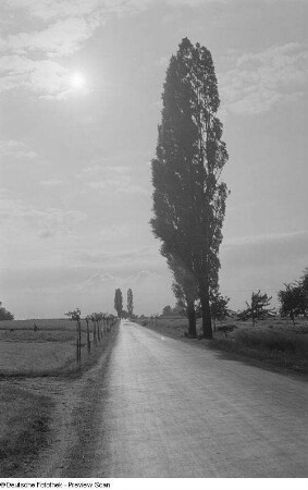 Landschaftsansicht mit Landstraße