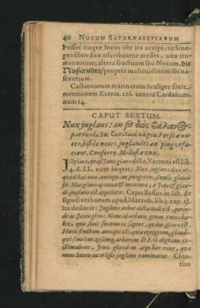 Caput Sextum. Nux iuglans ...