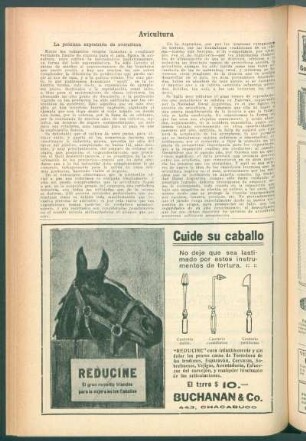 Avicultura : La próxima exposición de avicultura
