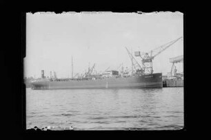 Phoebus (1923), BAPICO.- Baltische-Amerikanische Petroleum Import GmbH, Danzig