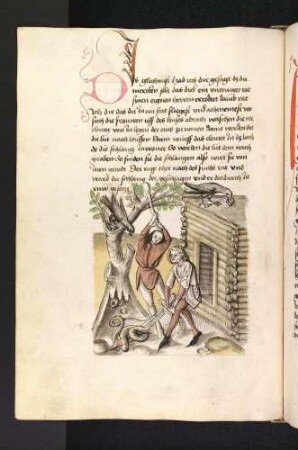 Der Rabe holt den Ring vom Dach; die gefräßige Schlange wird erschlagen; (Kapitel II: Von dem Löwen und dem Ochsen).