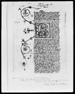 Lateinische Bibel — Initiale B (eatus vir), darin David Harfe spielend