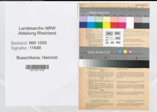 Entnazifizierung Heinrich Bueschkens, geb. 08.10.1903 (Gewerbeinspektor)