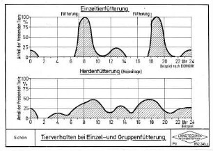 Tierverhalten bei der Einzel- und Gruppenfütterung
