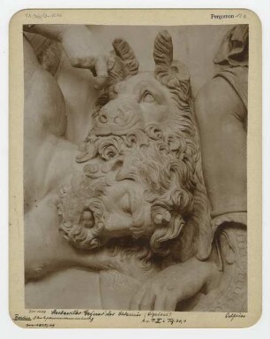 Pergamonaltar, Ostfries - Ausschnitt: Aigaion