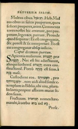 Caput decimum quartum.