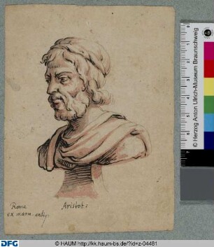 Büste des Aristoteles