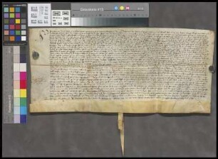 Dietersheim: Verleihung des Hofguts zu Dietersheim an das St. Martinsstift zu Bingen
