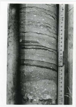 Bohrkern der Tiefenbohrung Freital (F 7), Teufe (Tiefe im Bergwerk) 250,35-255,40 m. Kleine Erosionsdiskordanz, dunklere Pelitlagen werden erodiert. Bannewitz, Bohrpunkt nahe der B 170 an der Kreuzung mit der Ortsstraße