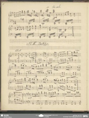 No. 4 Galopp