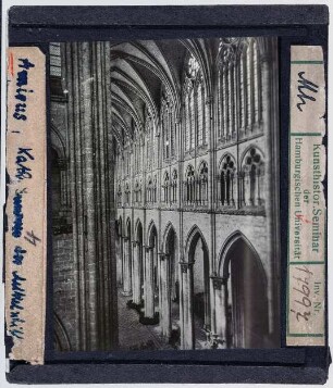 Amiens: Kathedrale, Mittelschiffswand