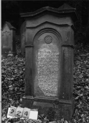 Grabstein 224