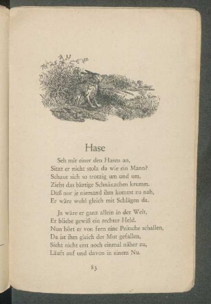Hase