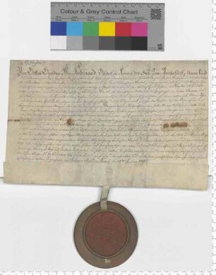 Das Bistum Corvey belehnt Fr. Thedel Joh. von Dassel mit dem Land Saltzermark.