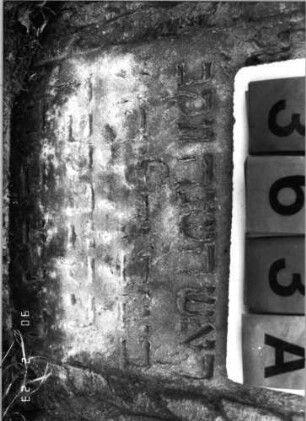Grabstein 363 (Index: 100115751) Material: Sandstein Zustand: verwittert Maße HxBxT: 132x69x21 cm Beschreibung: Stele mit Rundbogenabschluß, eingetieftes Schriftfeld mit eingezogenem Segmentbogenabschluß Symbolik: Ranken, Blüten, 'Band': Grabstein 363A
