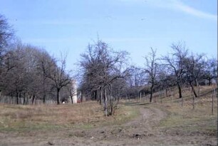 Streuobstwiese am Stadtrand, hinten Turm der Stadtbefestigung