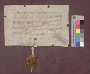 Abt Kaspar von St. Gallen belehnt den Junker Konrad von Hornberg mit der Veste Schneeburg, dem dortigen Bauhof und der Vogtei zu Ebringen und Talhausen.